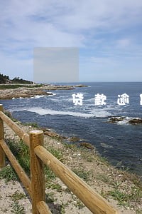 贷款逾期 发放贷款 贷款逾期 发放贷款